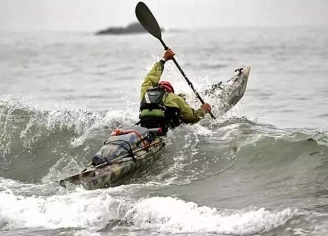 观察福田与双环的得与失