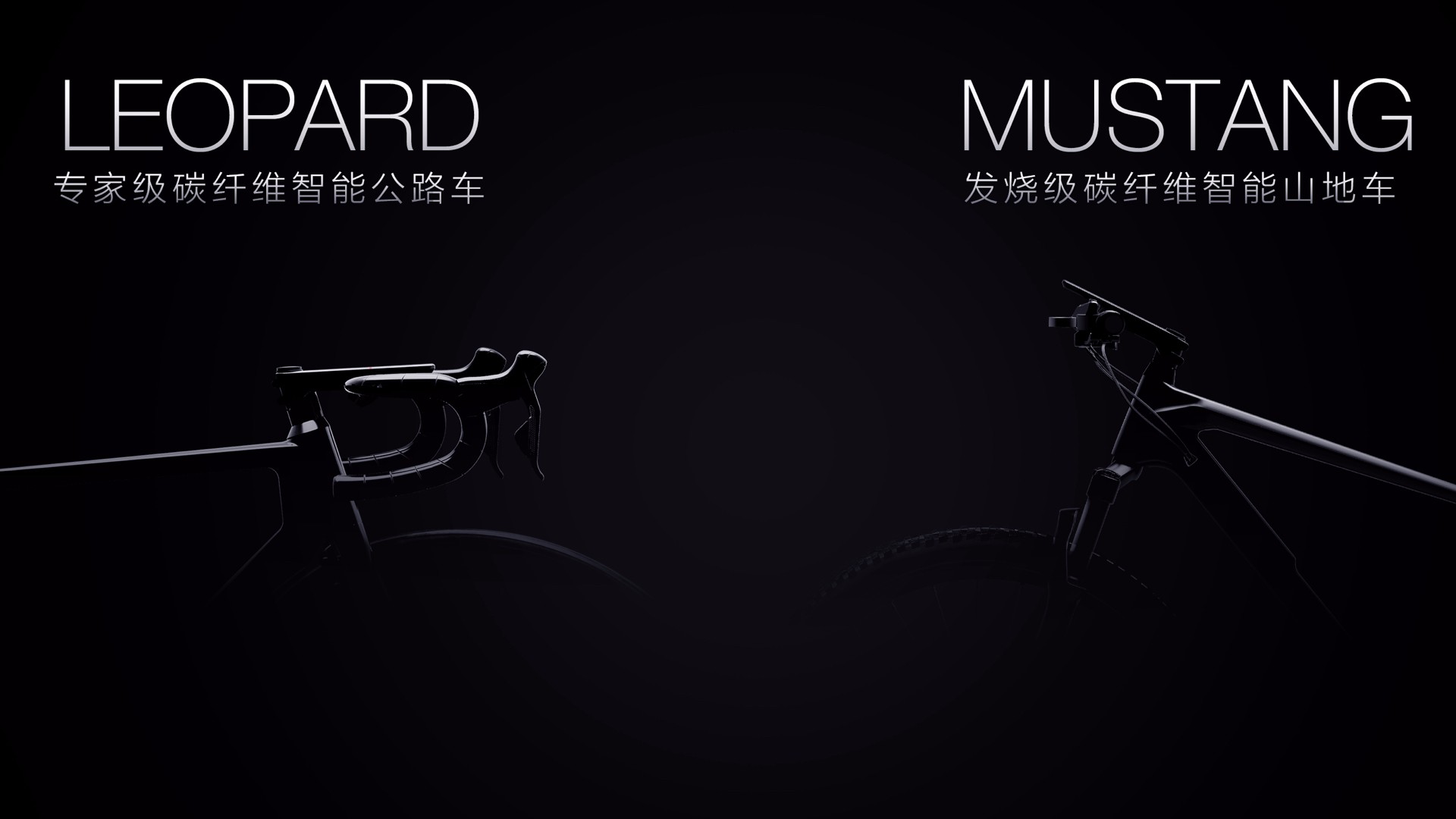 碳纤维自行车性价比最高的一款车,野兽自行车碳纤维