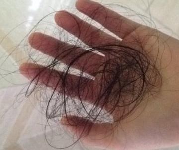 李时珍惊人药方,李时珍尝遍各种草药险些中毒