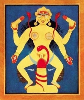 印度什么油最好,印度的油真的有效果吗