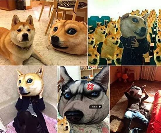 日本史上最具魔性的Doge抱枕你想入手一个吗