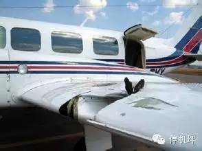 飞机：你赔我鼻子！鸟：妈的智障