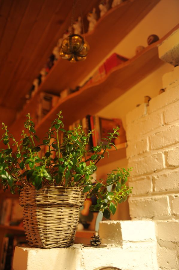 臣妾的50平装出豪宅的感觉(评论留QQ送流水账)