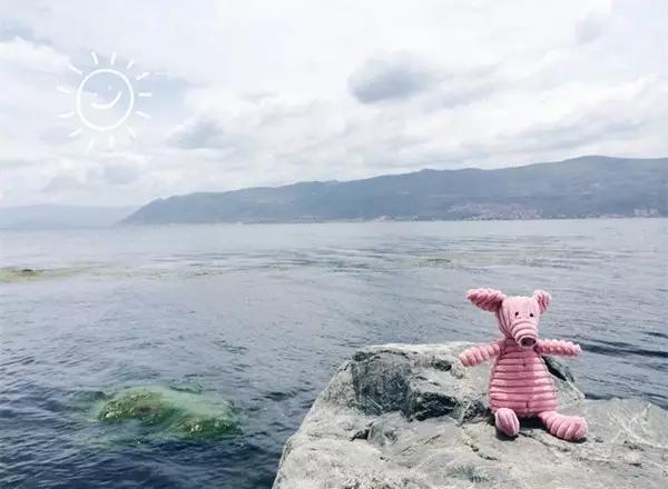 璇翠笉灏界殑澶х悊,璇翠笉灏戒簯鍗楀ソ椋庡厜