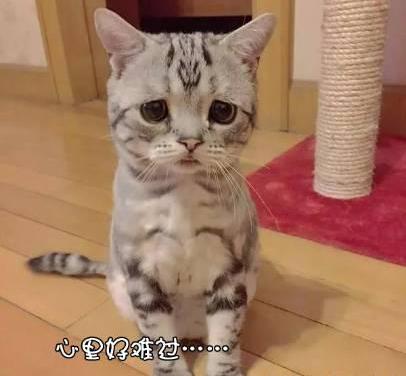 失恋了有什么好看的电影吗,失恋推荐的电影