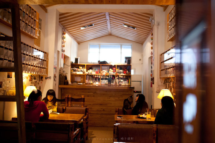 西安还有这么一个地方可以让你被猫咪围绕,享受当铲屎官的感觉