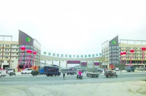 娲涢槼鐢熸椿鏀荤暐,娲涢槼鏈湴鐢熸椿鎸囧崡