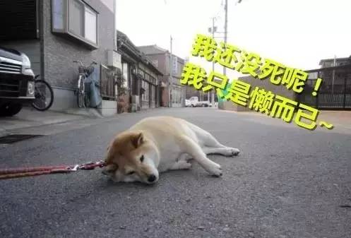 关注│4月将至，广州这些大事分分钟影响到你的生活！