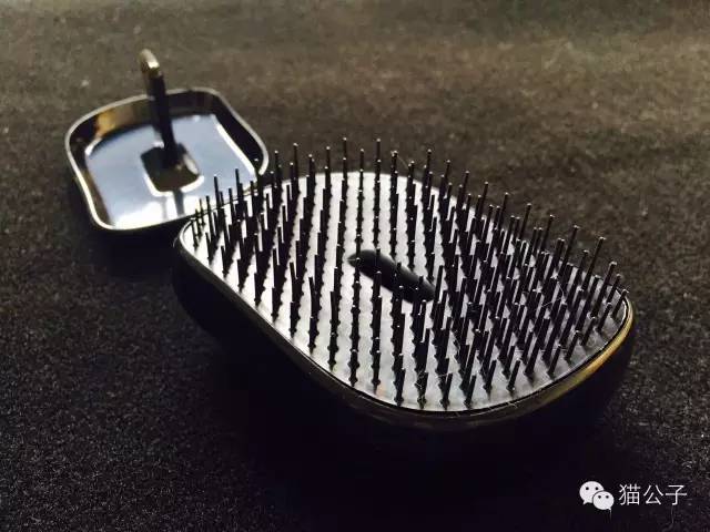 到处都是猫毛|到底什么猫毛梳最好用?