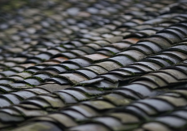 邛崃平乐古镇,邛崃市平乐古镇的文化历史