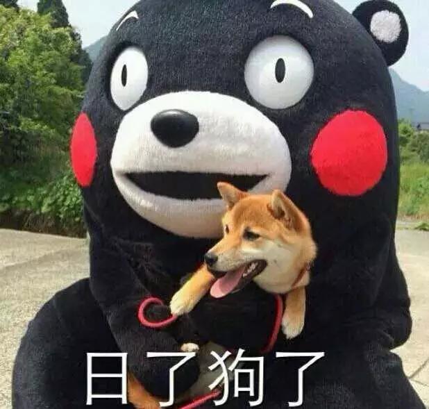 语文不好该怎样,只有语文不好是什么体验