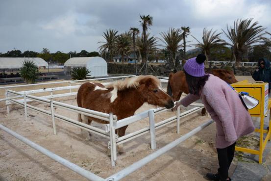 到了韩国才发现，以前的“韩流印象”都是骗人的!