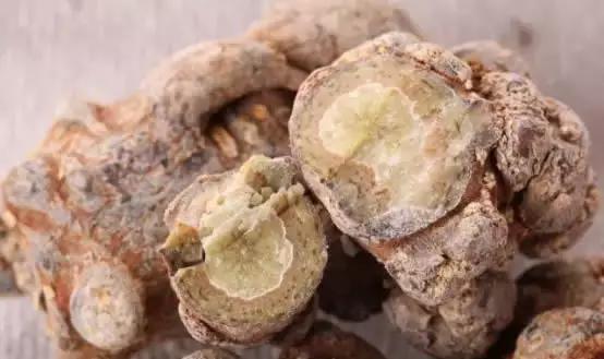 要想调补气血、强身健体，不如常吃三七！