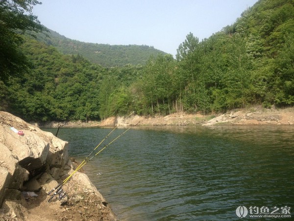 探钓野生鱼视频,探钓野生水库