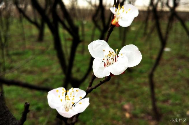 小米4s试驾,小米4S测评