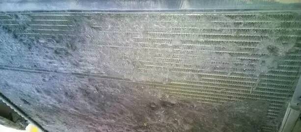 夏季清理水箱很重要,科技创新促进水质改善