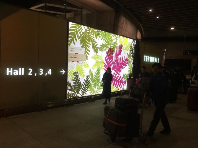 法意瑞三国旅游,亲子合家欢