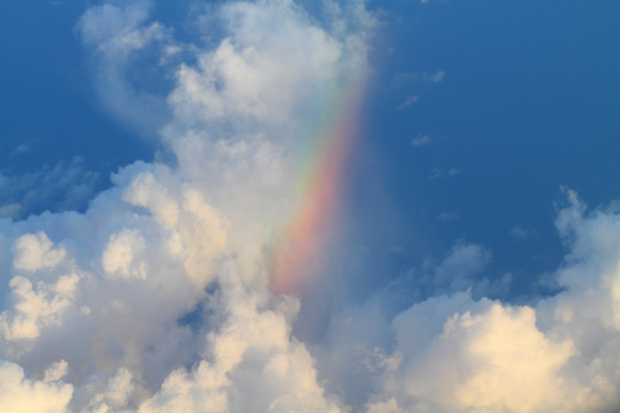 毛里求斯自由行旅游攻略,毛里求斯七天游