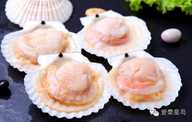秦皇岛海鲜推荐,秦皇岛海鲜美食推荐