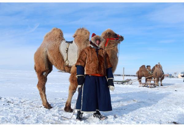 牧马少年歌曲完整版,牧马少年草原