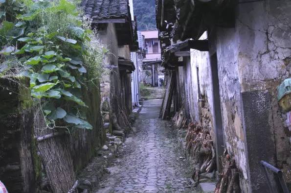 阳春三月下从化，去广东最美乡村植树、挖春笋、野炊吧！[3.12]