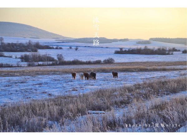 牧马少年歌曲完整版,牧马少年草原