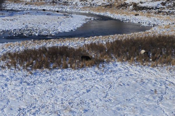 牧马少年歌曲完整版,牧马少年草原