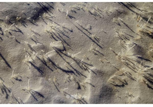 牧马少年歌曲完整版,牧马少年草原