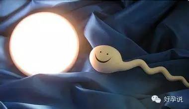 存放十年的胚胎,保存生胚