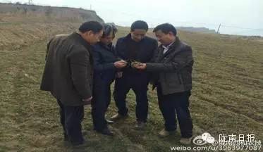 新闻资讯我县春耕春播热火朝天,春耕忙新闻