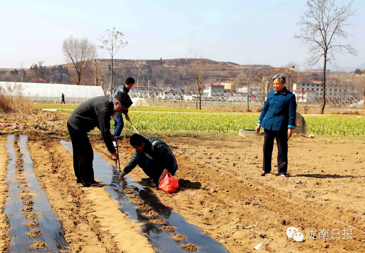 新闻资讯我县春耕春播热火朝天,春耕忙新闻
