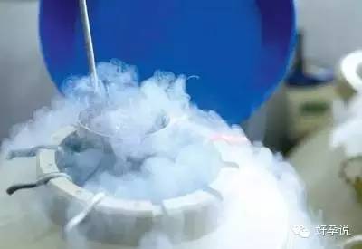 存放十年的胚胎,保存生胚