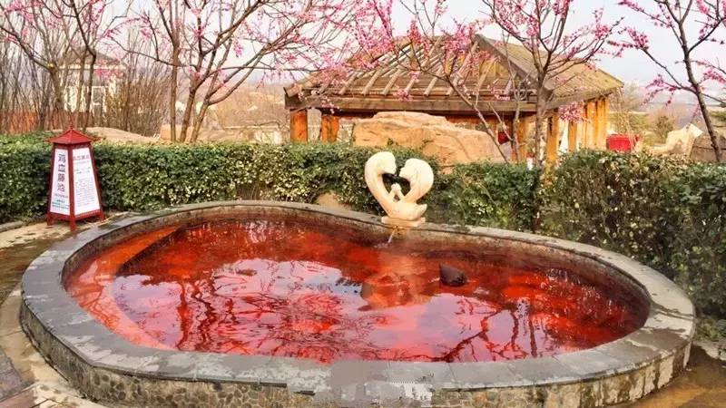 让京津冀三地达人给你最有看头的白鹿温泉|动感冬冀