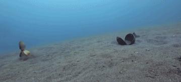 豆瓣9.7的冷门好片，送给每个热爱生命的人