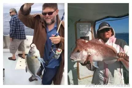 11月20-28日｜邀您参加澳大利亚金豆杯咖啡餐饮之旅