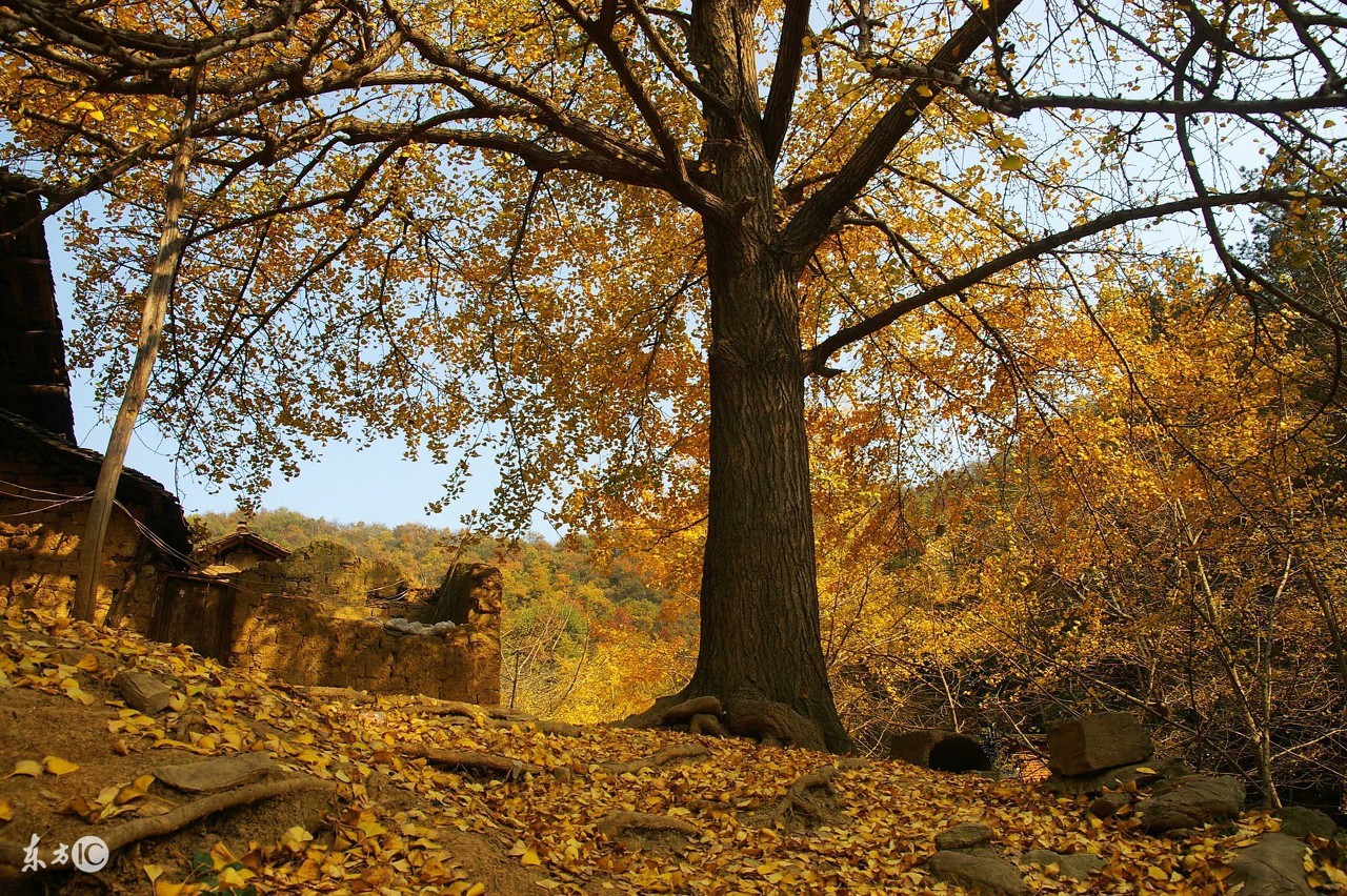 湖北最低调的县,湖北低调的县城