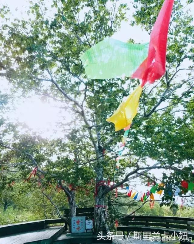 黑龙江十大必游景点推荐,黑龙江最值得去的景点