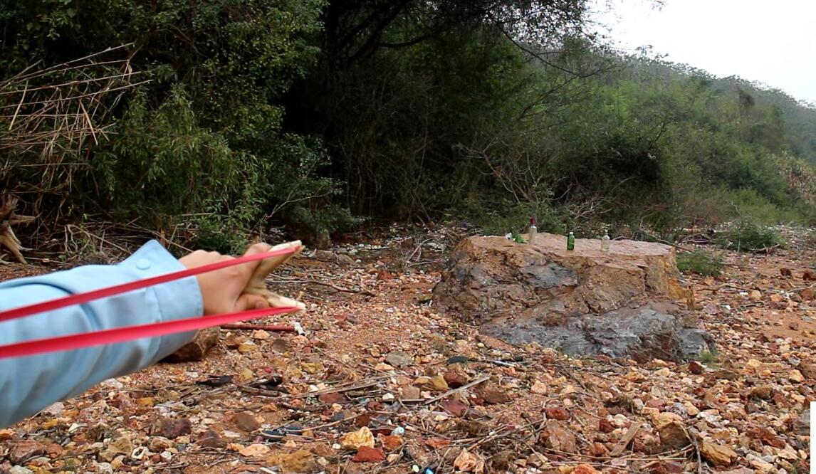 弹弓能不能射大型动物,弹弓能狩猎多远的猎物