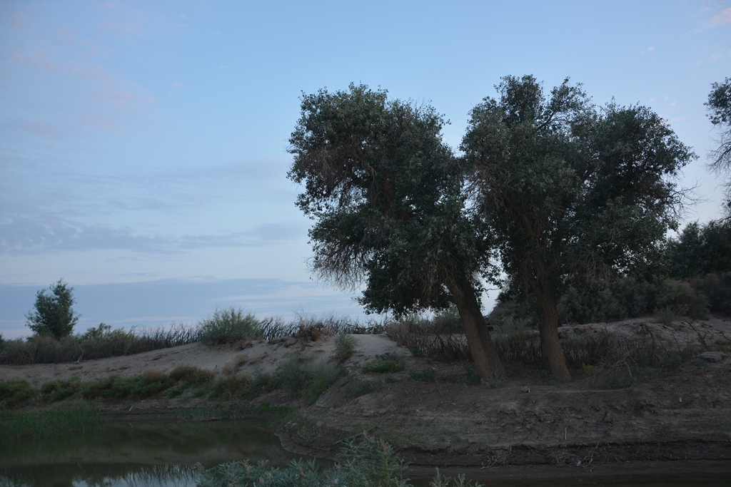 西安到阿拉善左旗自驾游攻略,西安到阿拉善三日游