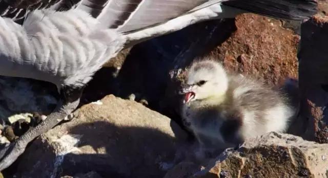 豆瓣9.7的冷门好片，送给每个热爱生命的人