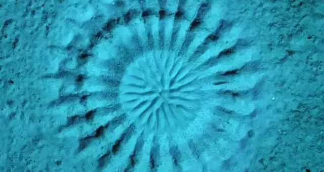 豆瓣9.7的冷门好片，送给每个热爱生命的人