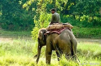 泰国最新购物必买清单攻略,泰国旅游必买品泰国面霜