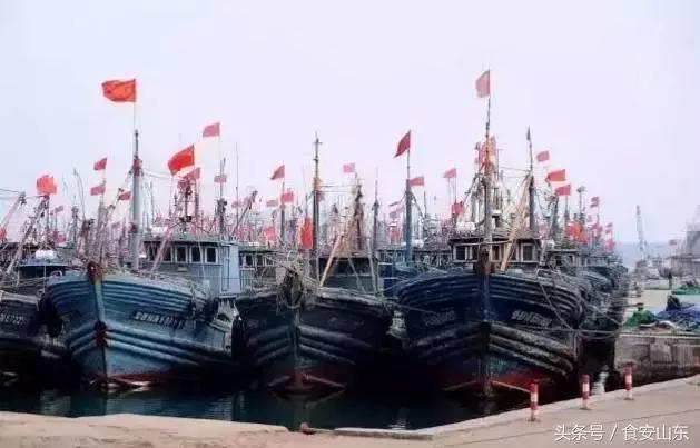 9月1号开海海鲜能便宜吗,9.1开海海鲜掉价吗