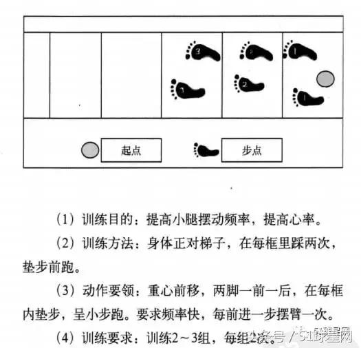 绳梯软梯训练视频,绳梯训练10种方法