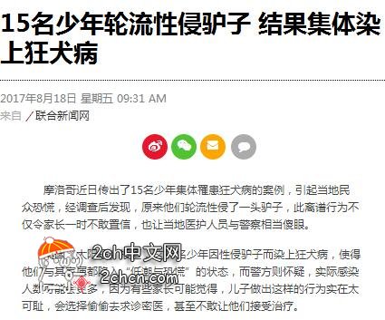 国外一群少年们欺负了一头驴结果他们相继得病