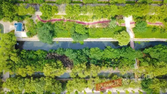 洛阳新开游园,洛阳很美的公园