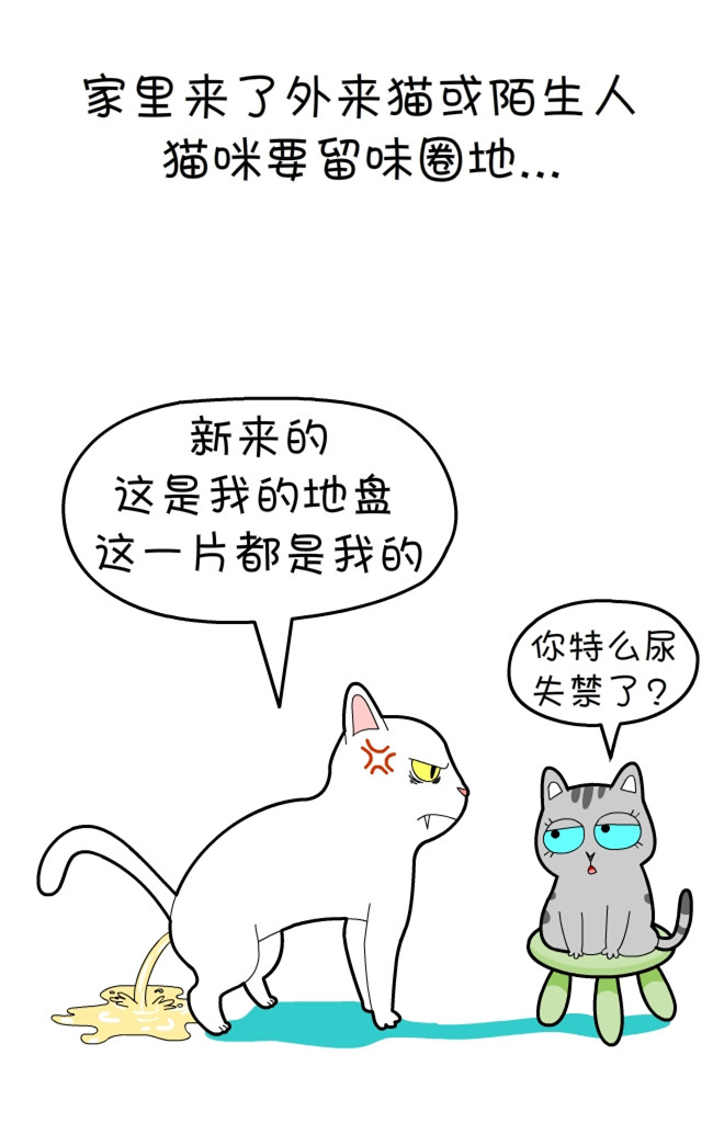 猫咪和铲屎官的幸福生活漫画,猫狗铲屎官漫画