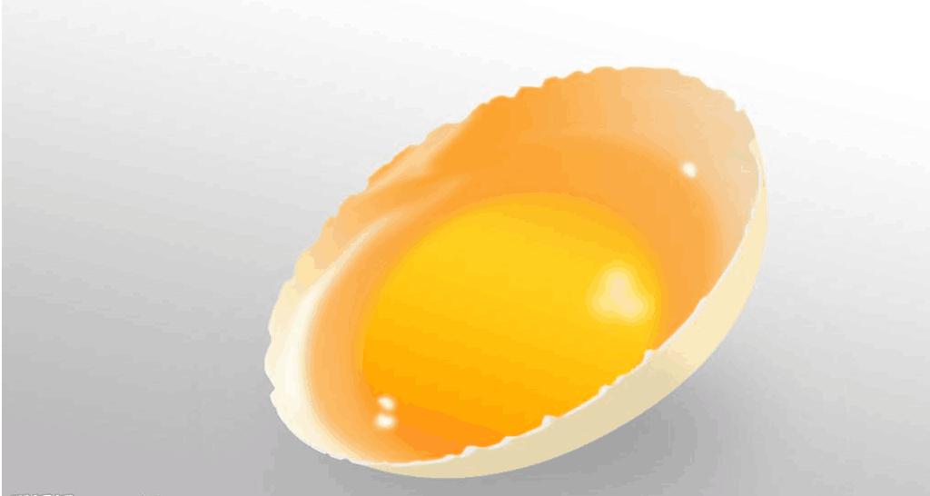 三个月泰迪可以吃什么食物,对泰迪有益的五种食物