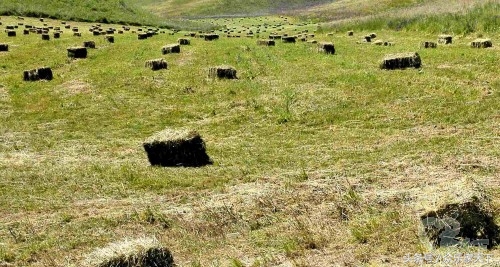 北京自驾新疆伊犁10天最佳路线,北疆大环线10天自驾费用