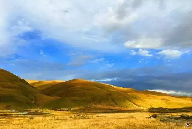 成都318自驾路线必去小众的景点,国庆成都自驾游3天最佳路线攻略